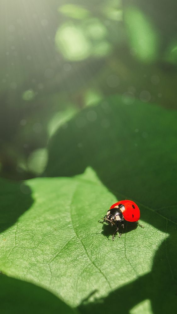 Photograph by Наталья Ключинская