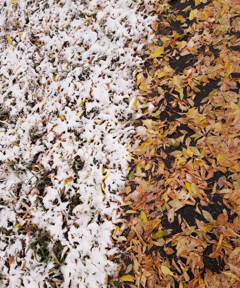 Photograph by Бутовец Алёна