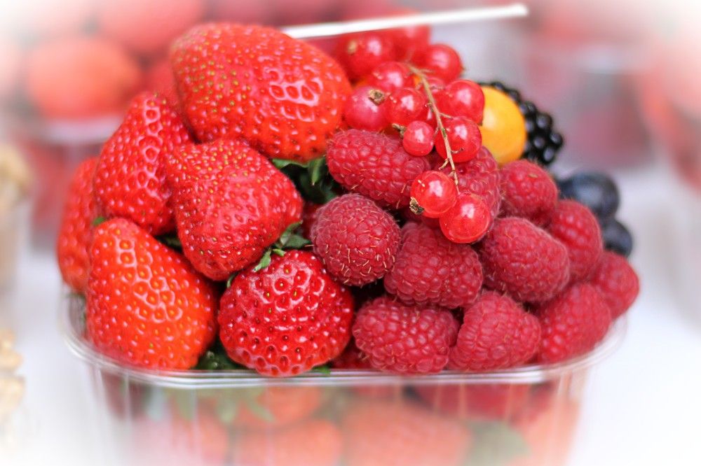 Photograph by Lena Feldman