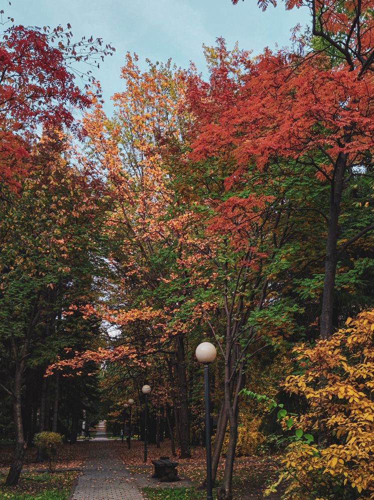 Фотография автора Наталья Силантьева
