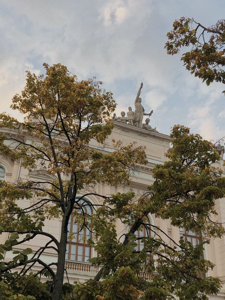 Photograph by Sofia Vasilevskaya