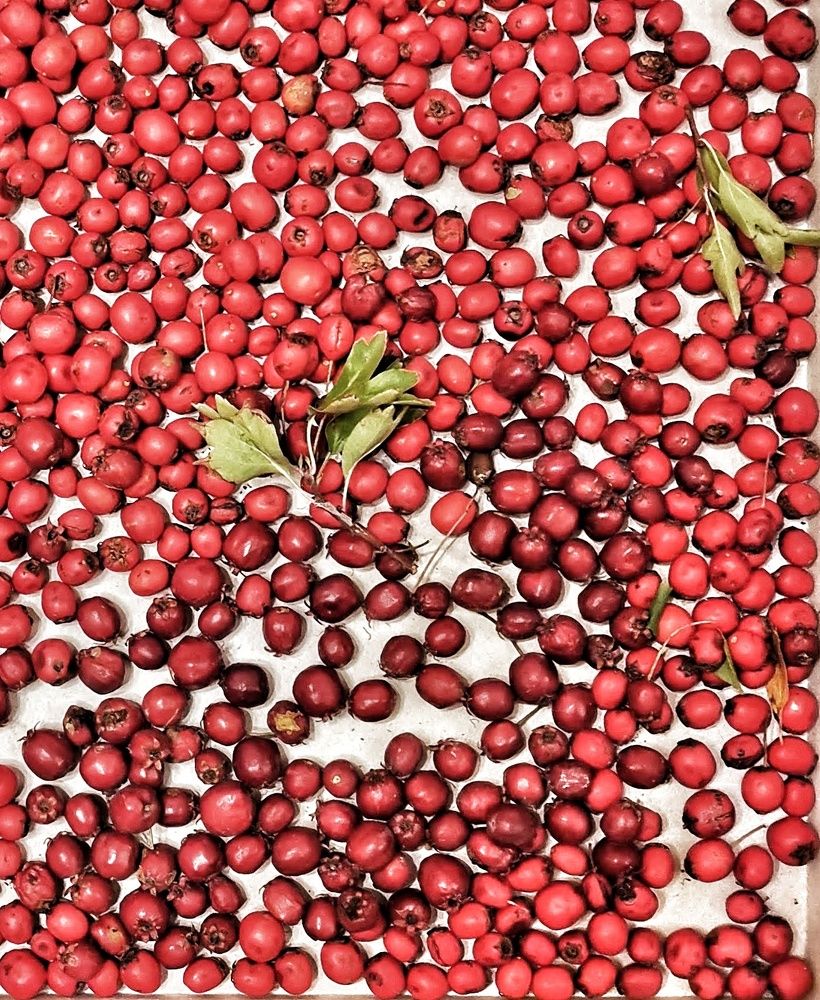 Photograph by Сергей Коняшин