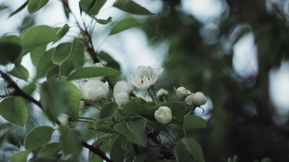 Photograph by Алёна Бондаренко