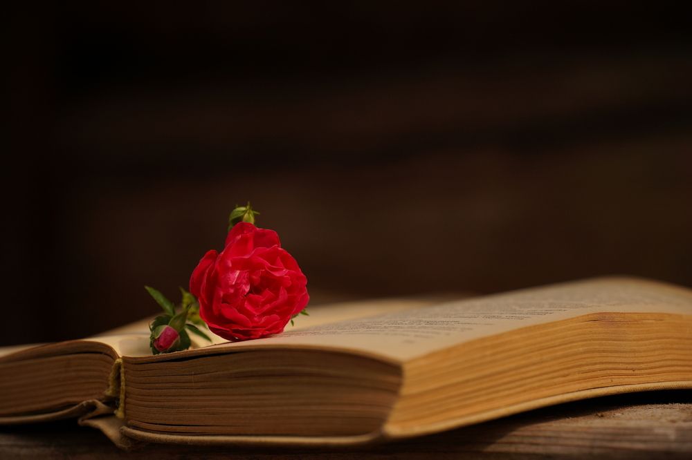 Photograph by Марина Аникина