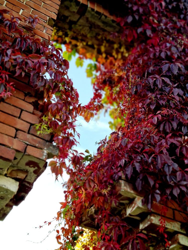 Photograph by Елена Квасова