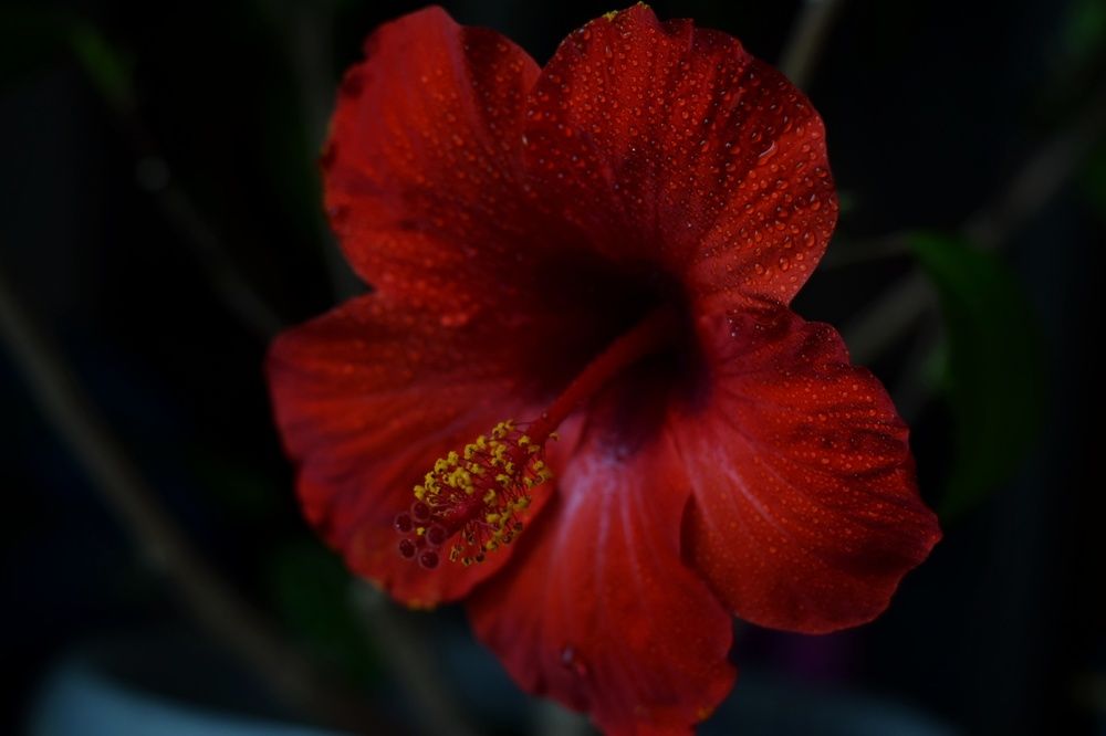 Photograph by Любовь Малышева