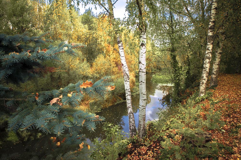 Photograph by Борис Назаров