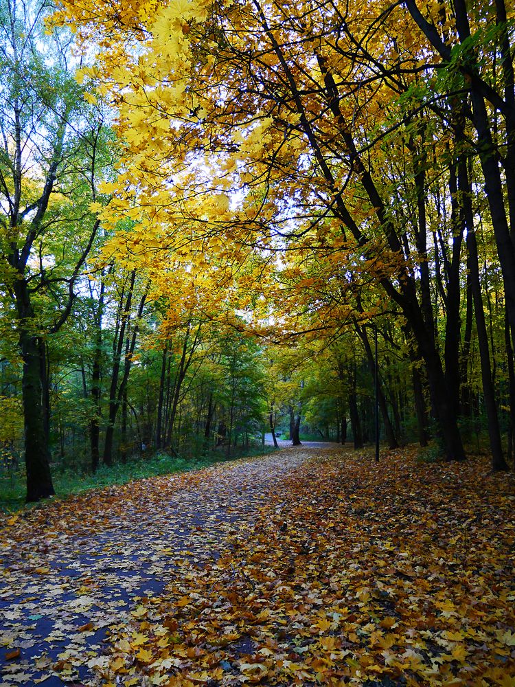 Photograph by Серафима Силина