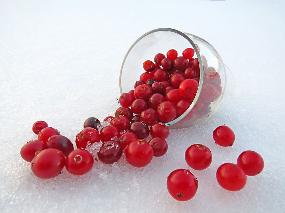 Cranberries spilled out of the glass