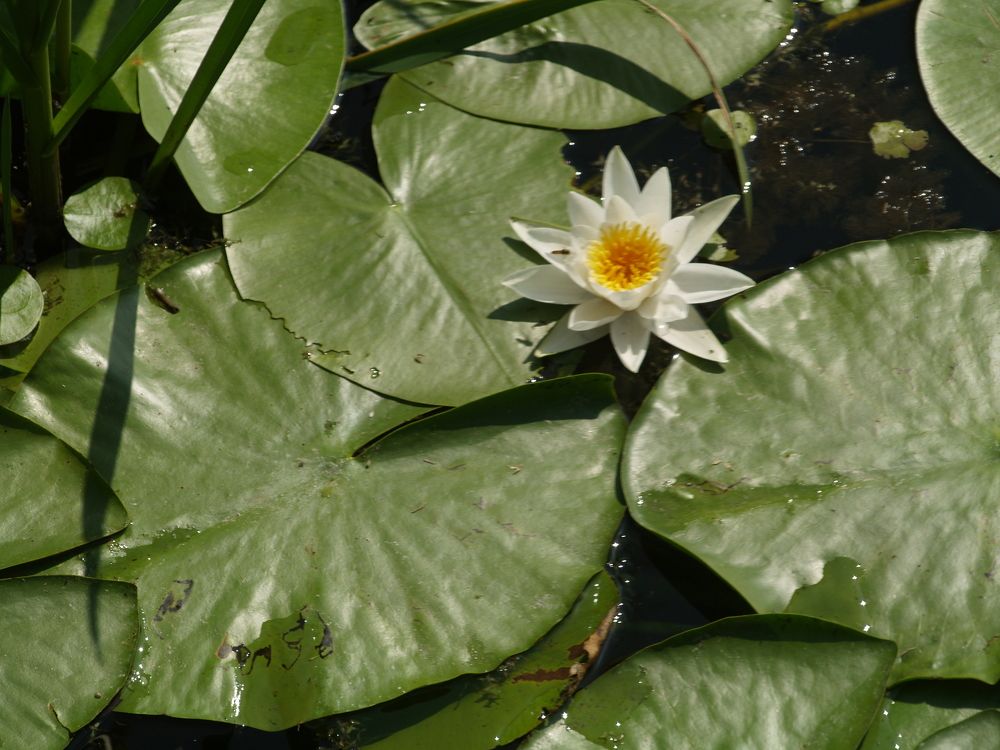 Фотография автора Dubravko Maricic