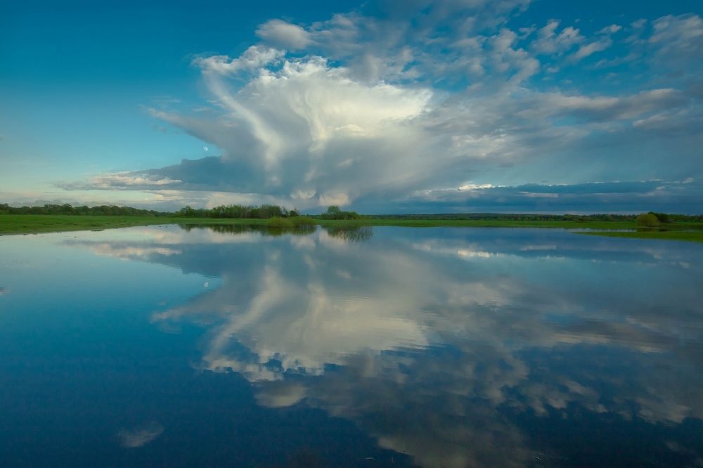 Photograph by Владимир Федин