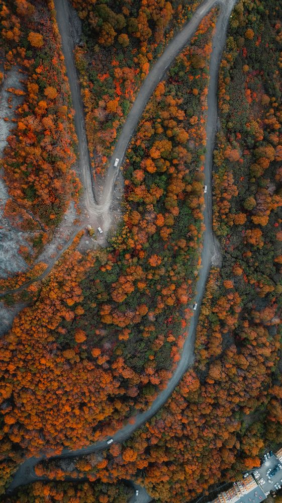 Photograph by Михаил Канивецкий