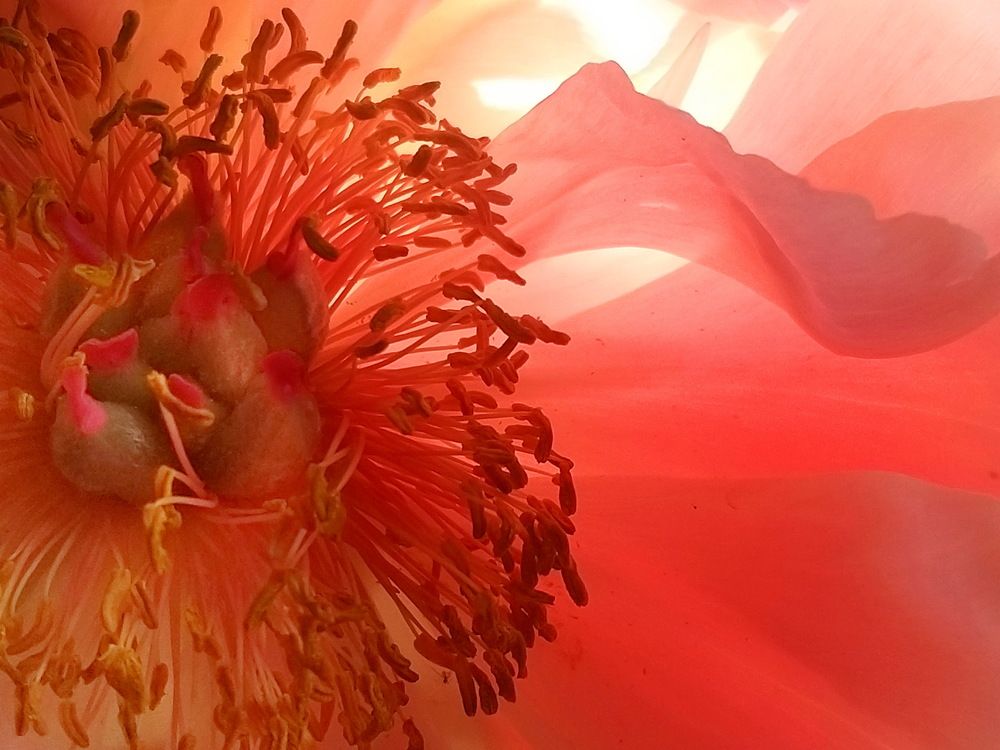 Photograph by Лада Денисова