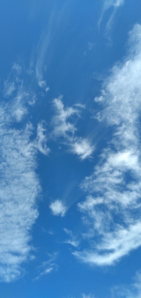 Photograph by Любовь Макарова