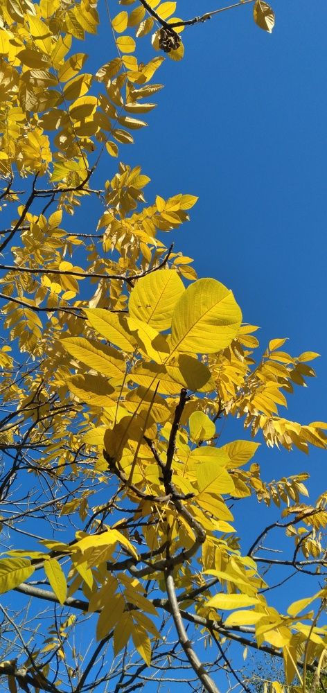Photograph by Любовь Макарова