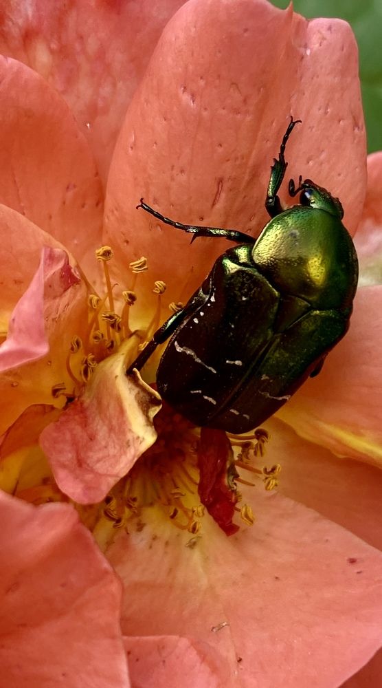 Photograph by Евгения Казакова