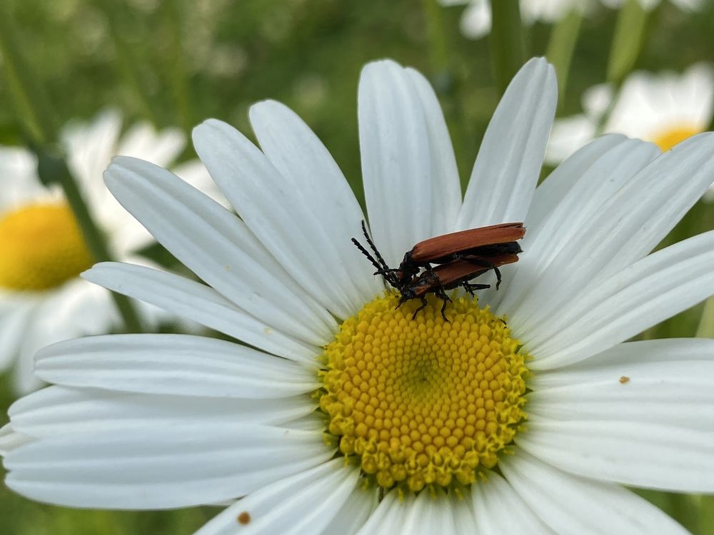 Photograph by Евгения Казакова