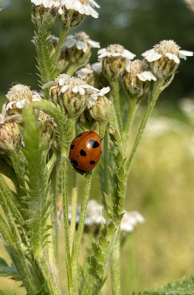 Photograph by Евгения Казакова
