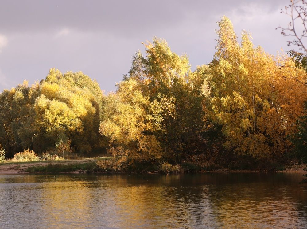 Photograph by Светлана Богомолова