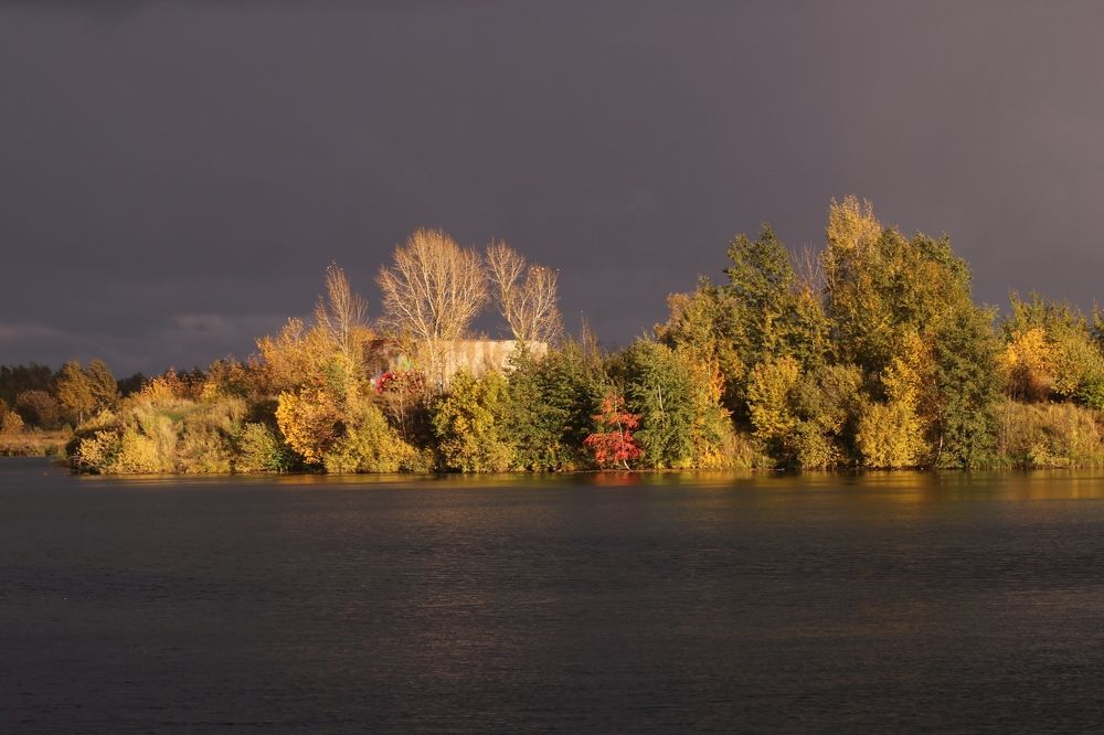 Photograph by Светлана Богомолова