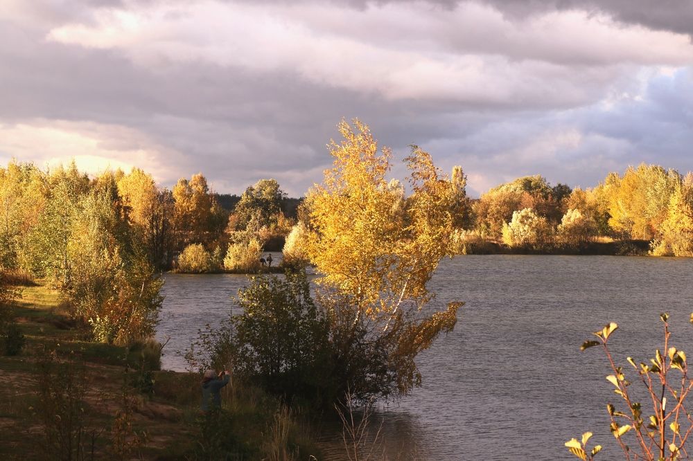 Photograph by Светлана Богомолова