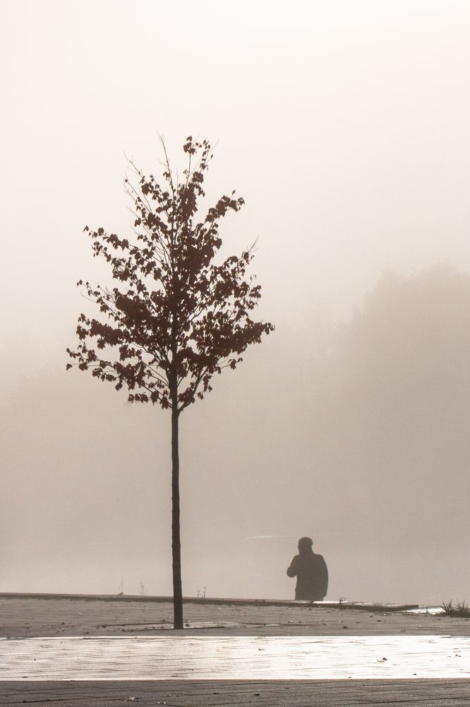 Photograph by Илья Новиков