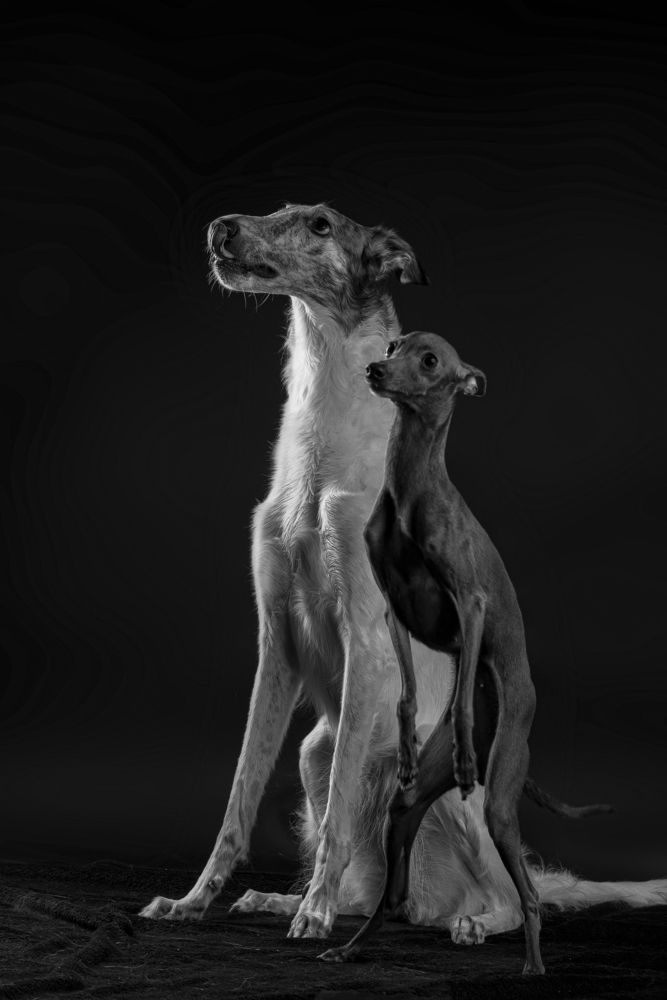 Photograph by наталья залогина