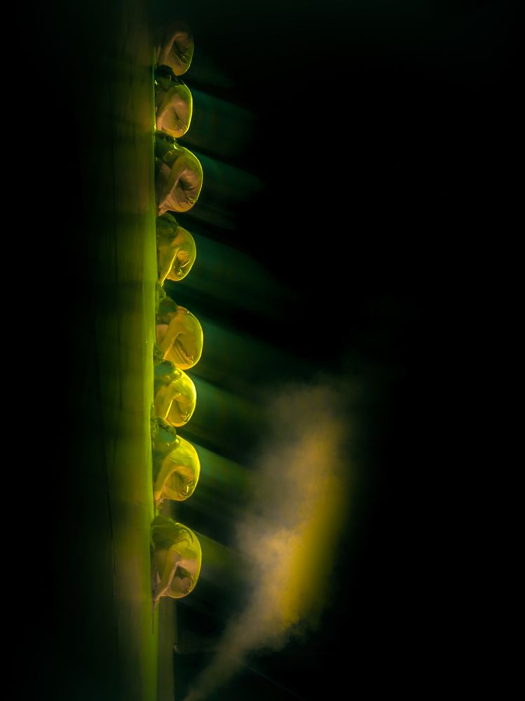 Photograph by Анастасия Юсупова