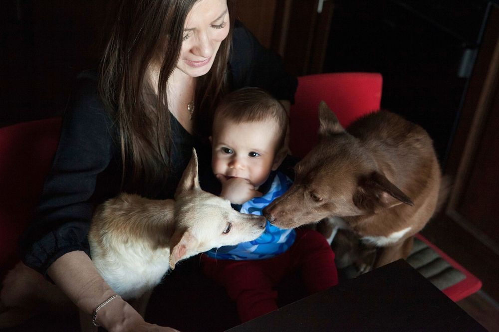 Фотография автора Galina Sa