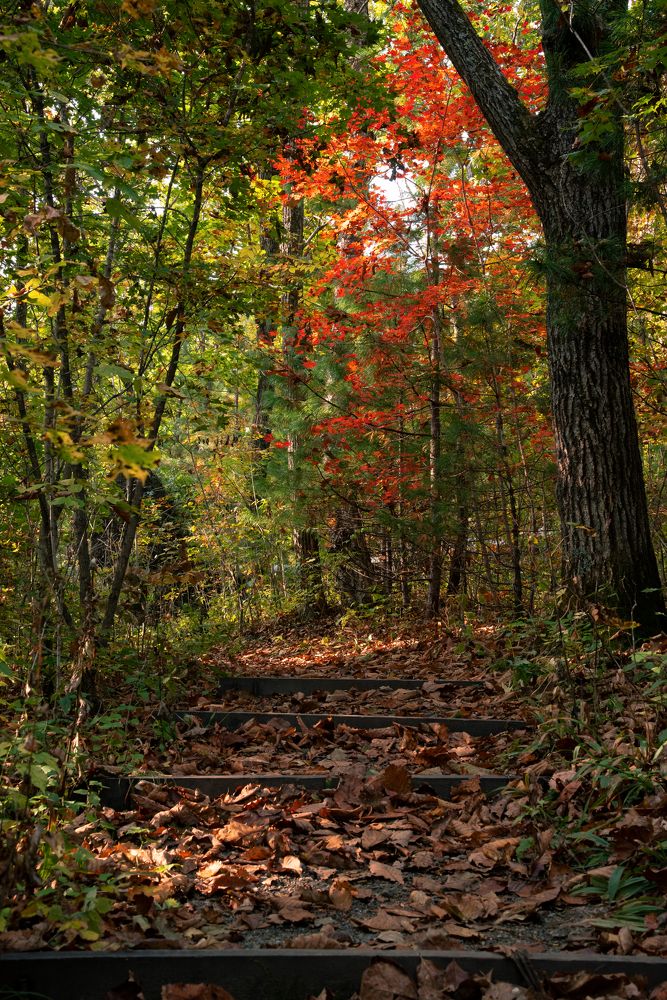 Photograph by Константин Костин