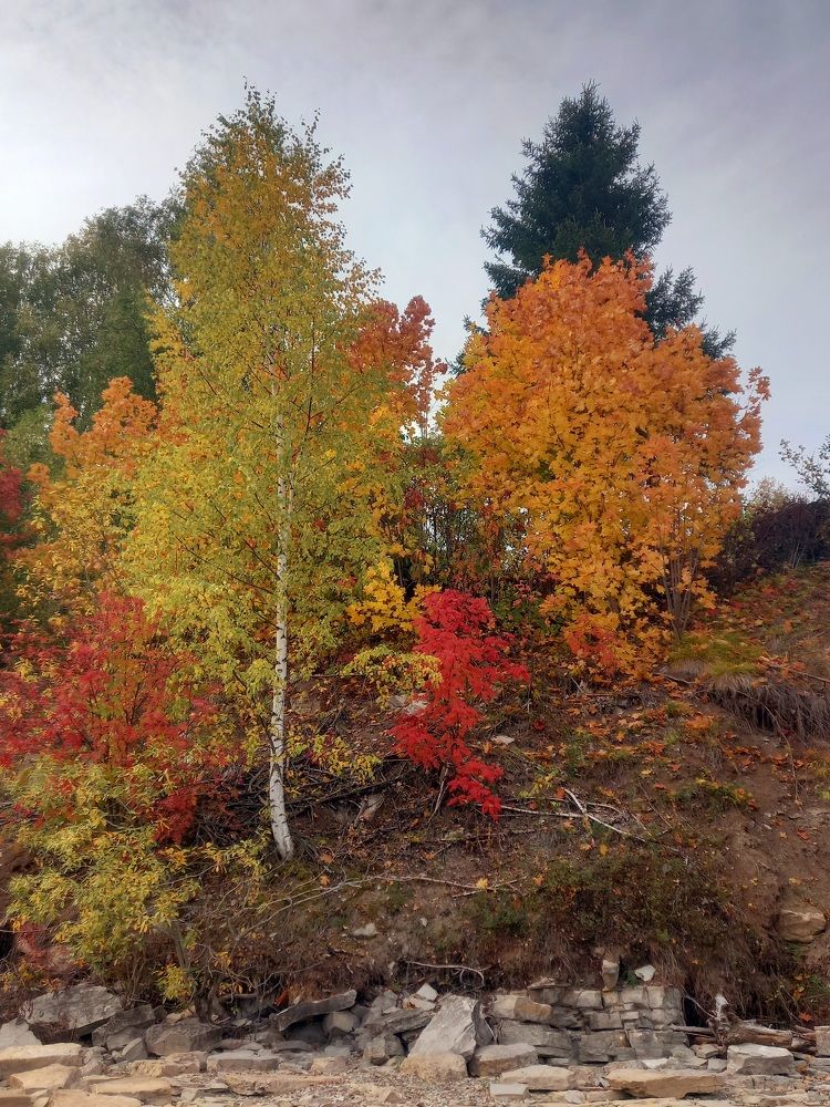 Photograph by Екатерина Хозяшева