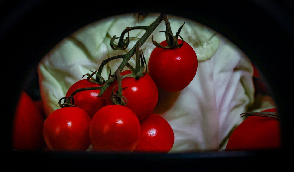 Photograph by Sona Kechiyants