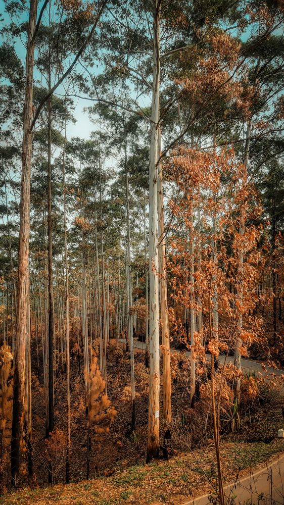 Photograph by Sameera Rathnayaka