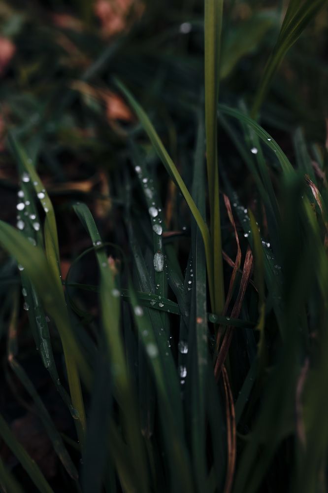 Photograph by Мария