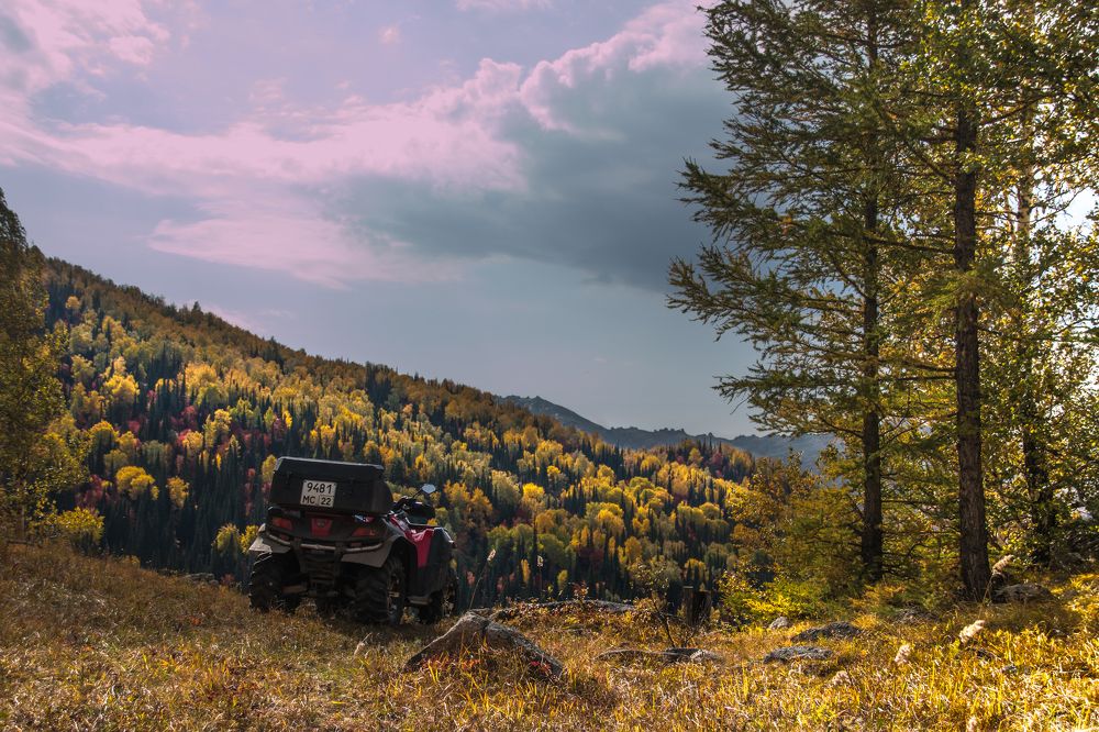 Photograph by Ilya Dudin