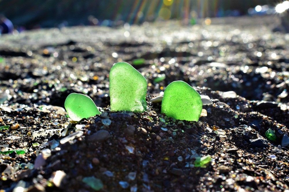 Photograph by Ирина Фирсова