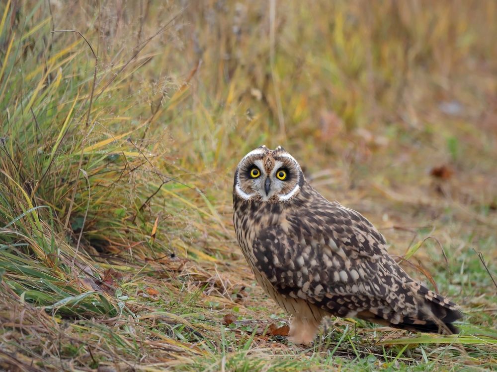 Photograph by Титов Александр