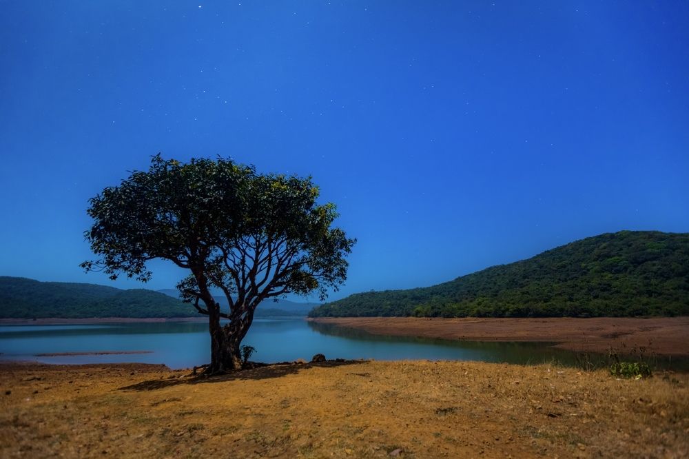 Photograph by Dhananjay Jadhav