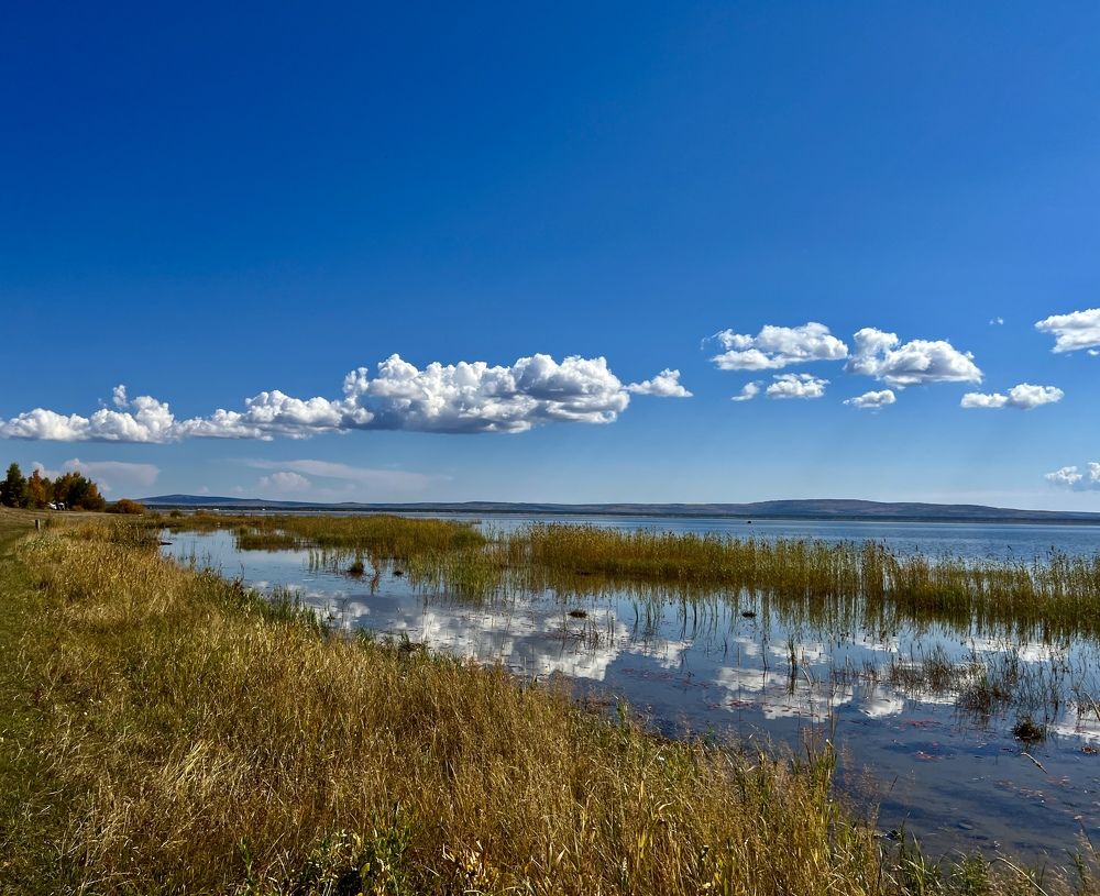 Photograph by Елена Мизина