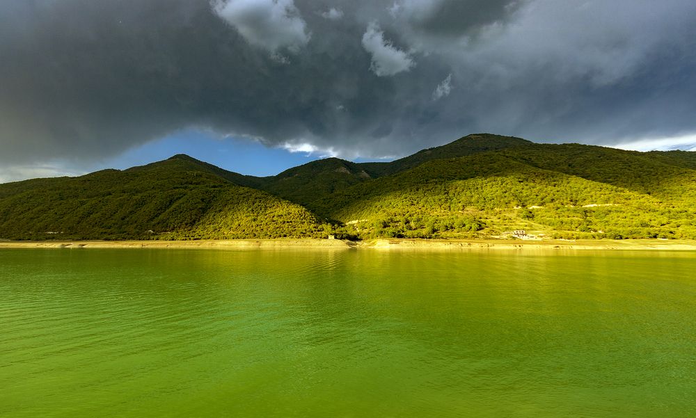 Photograph by Alex Kalpus