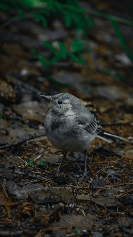 Photograph by Шмаков Денис