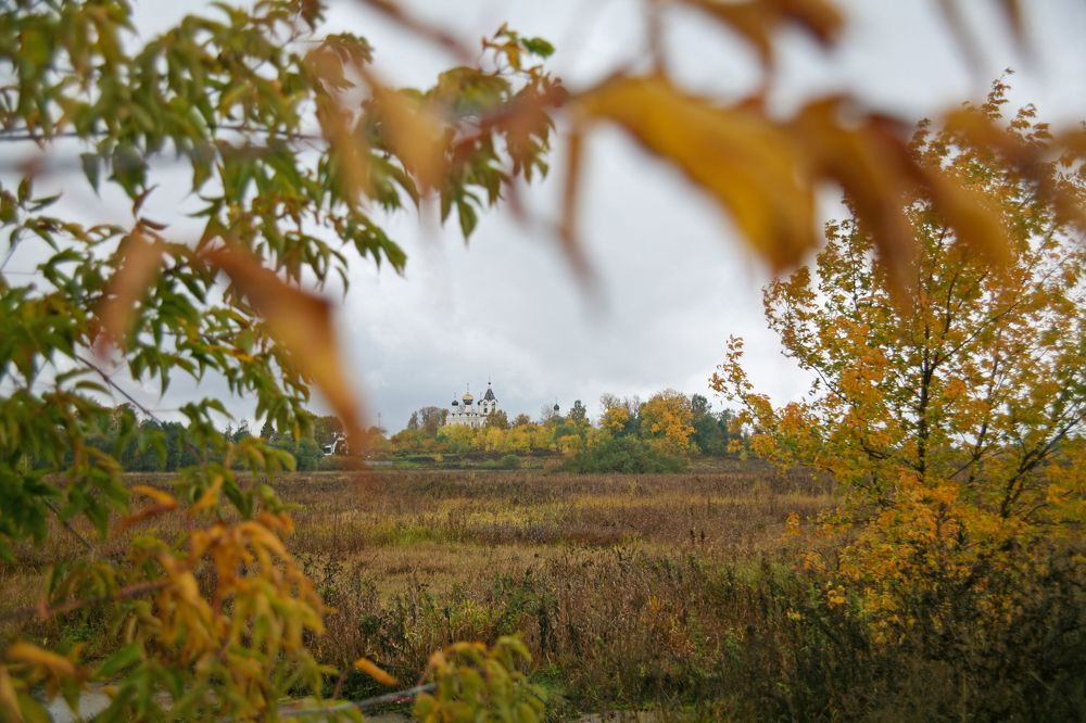 Photograph by Михаил Кинеев