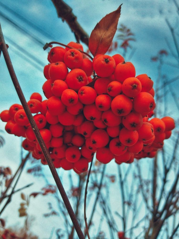 Photograph by Наталия Юминова