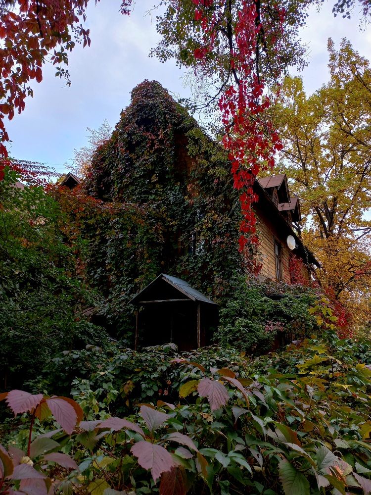 Photograph by Зоя Кулько