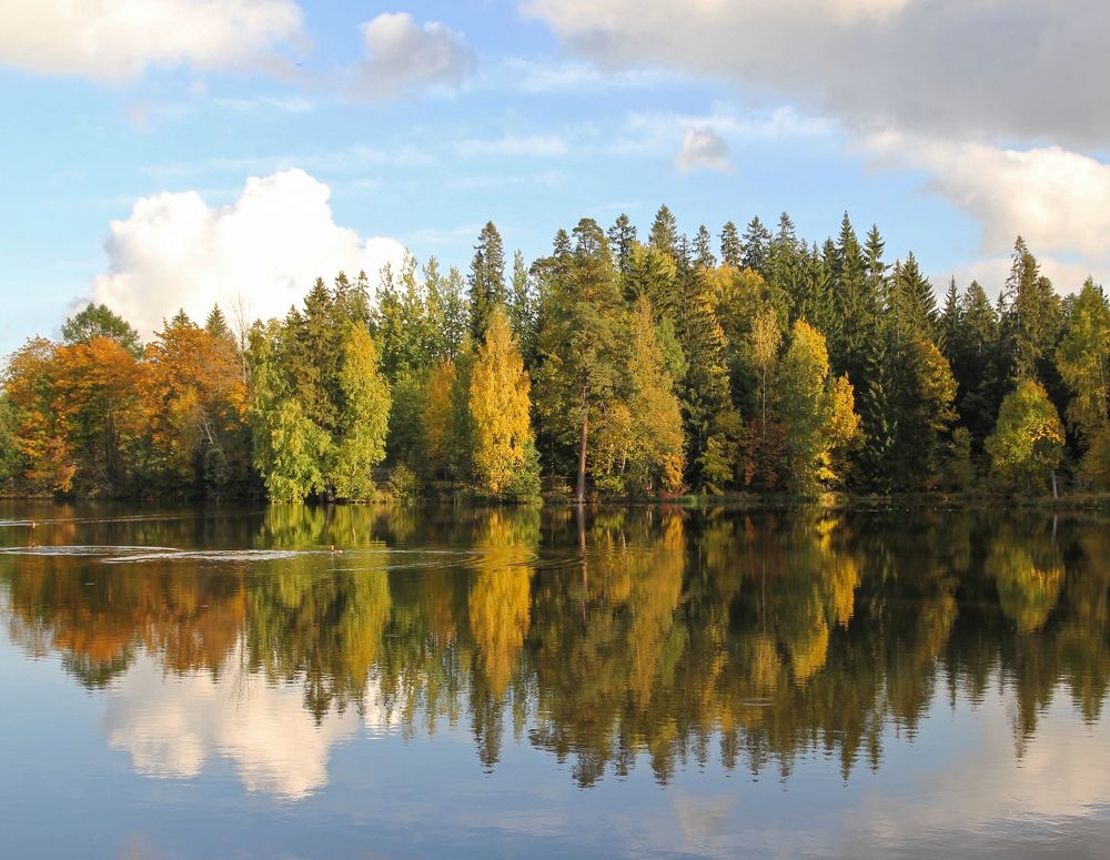 Photograph by Сергей Иванов