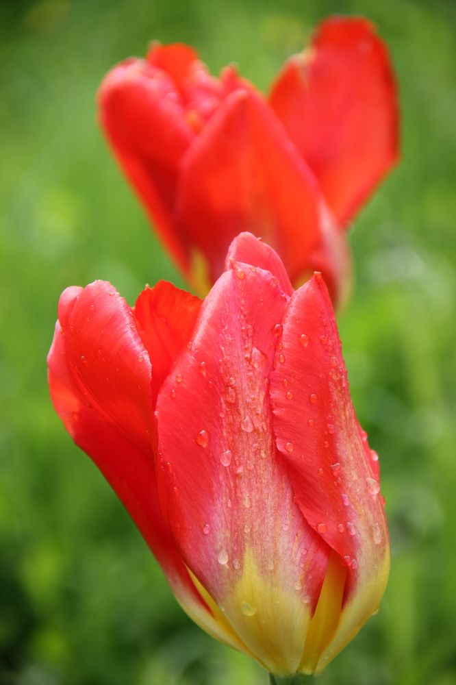 Photograph by Зоя Кулько