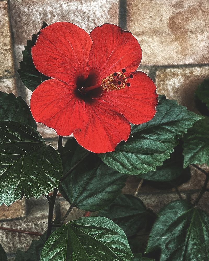 Photograph by Наталья Ефимова