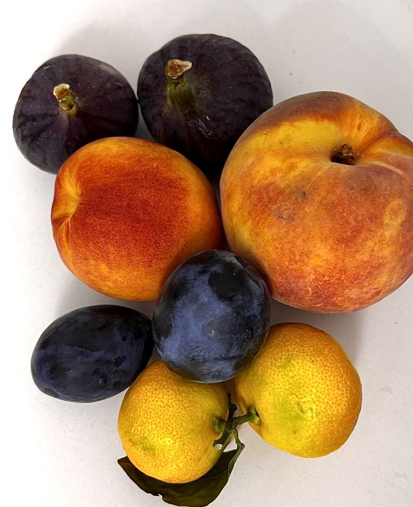 Photograph by Елена Мизина