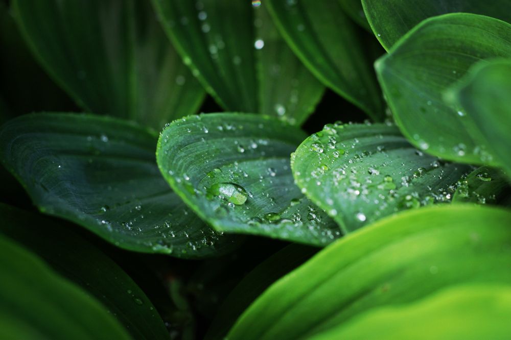 Photograph by Ольга Голованова