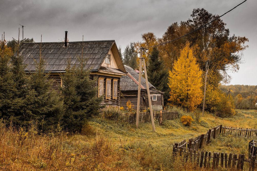 Фотография автора Мария Сурмачева